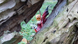 Nymphenhain 3 - Titelbild